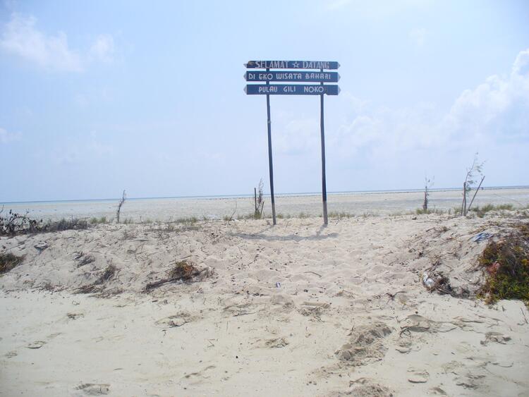 P1100570.JPG