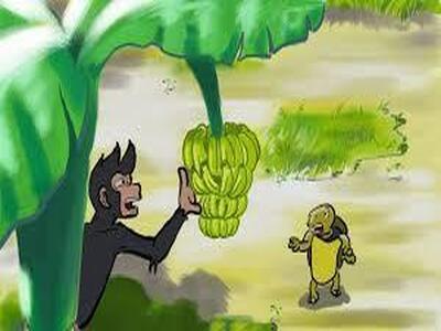 monkey and turtle.jpg